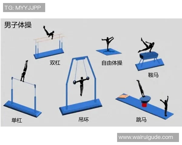竞技体操成绩分析与提升路径探索：从技巧训练到竞技表现的综合研究