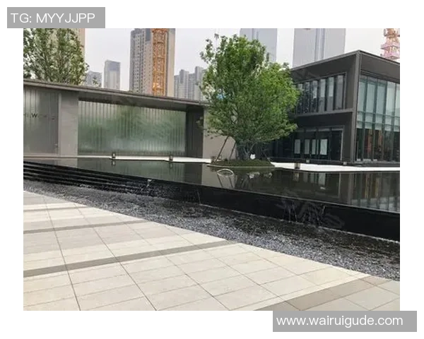 荷兰足球甲级联赛历史发展与现状分析：从顶级赛事到全球关注的足球舞台