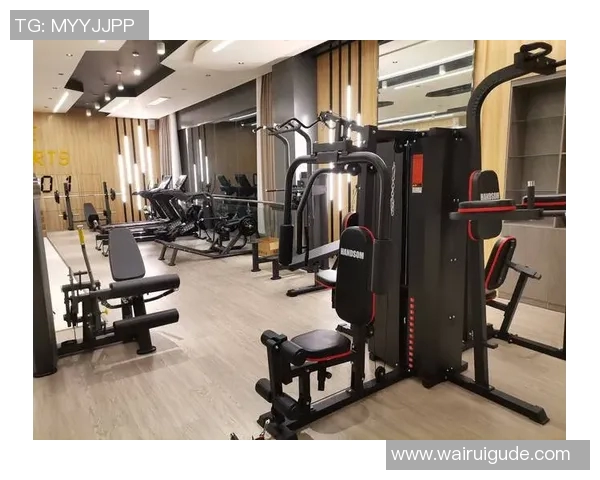 全面解析健身器材的种类功能选择技巧以及使用方法助你打造完美身材